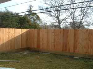fence1.jpg